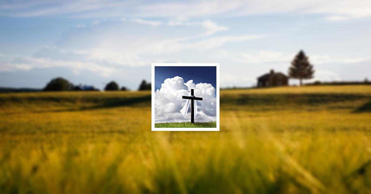 Sr Johnnie Lewis Obituary, West Columbia, TX